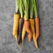 produce-5.jpg