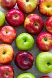 types-of-apples-1.jpg