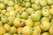 crispin-apples-jpg.jpg