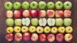 different-variety-of-apples.jpg