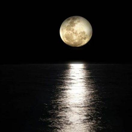 moon-440x440.jpg