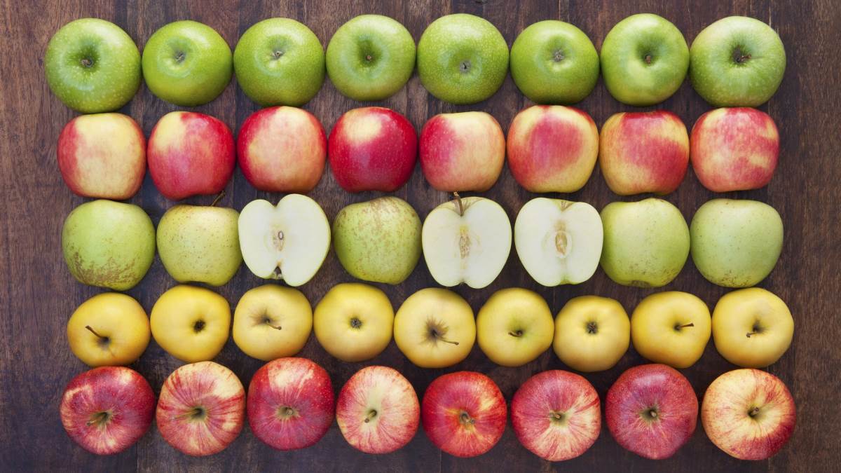 different-variety-of-apples.jpg