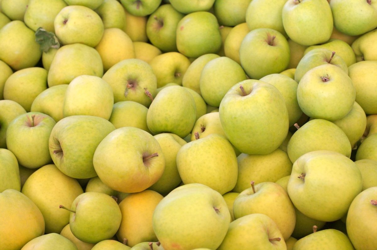 crispin-apples-jpg.jpg